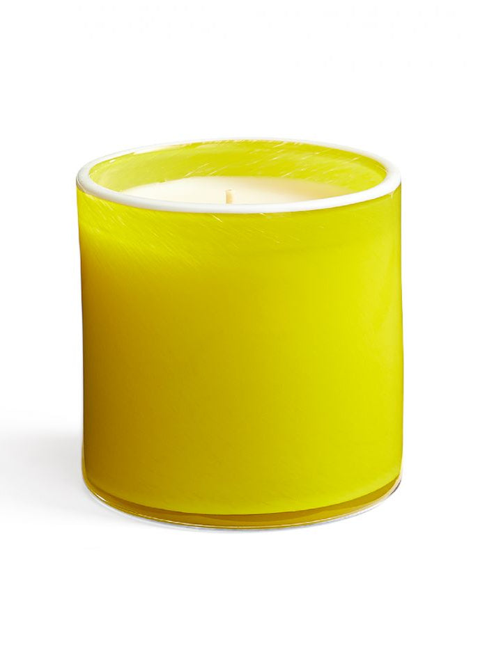 Lafco - 15.5 oz White Grapefruit Signature Candle - HH43
