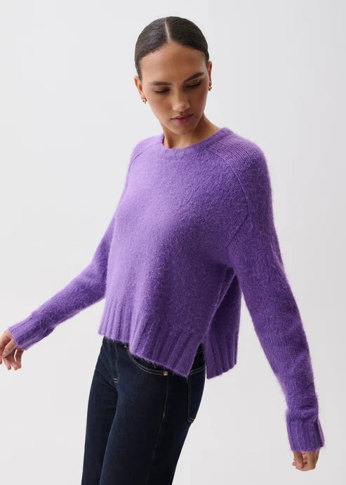 A woman wearing a fuzzy purple cropped knit sweater and dark blue jeans, photographed against a clean light gray studio background.